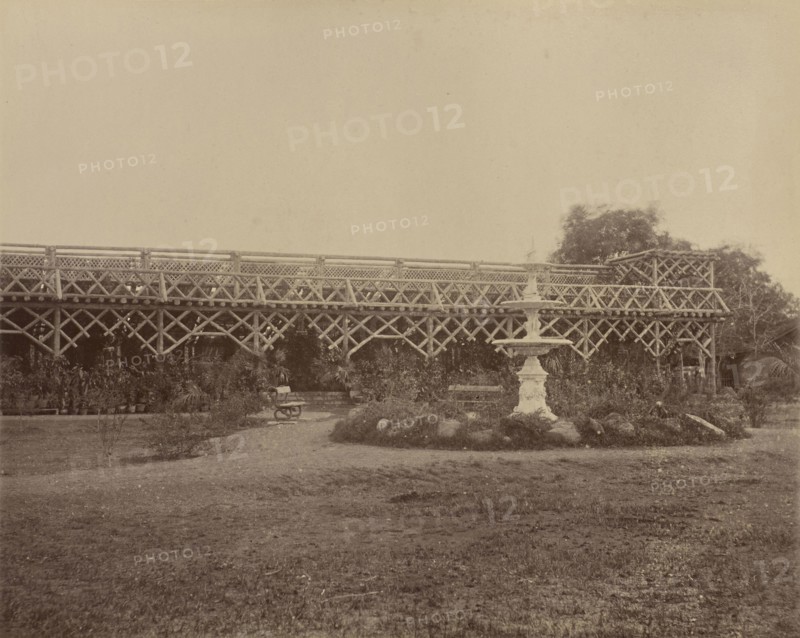 Peile Gardens, Chik House, India; 1886 - 1889; Albumen silver print