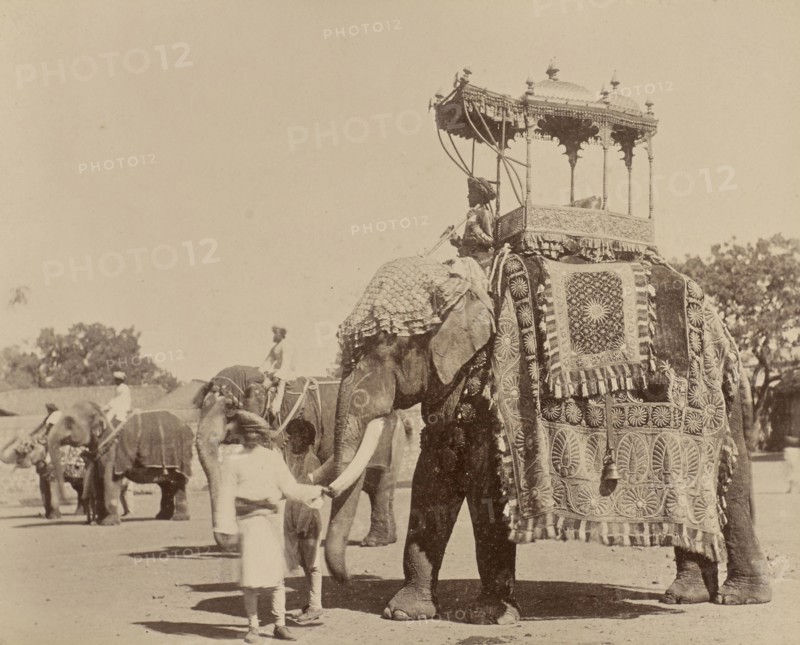 Moti; India; 1886 - 1889; Albumen silver print