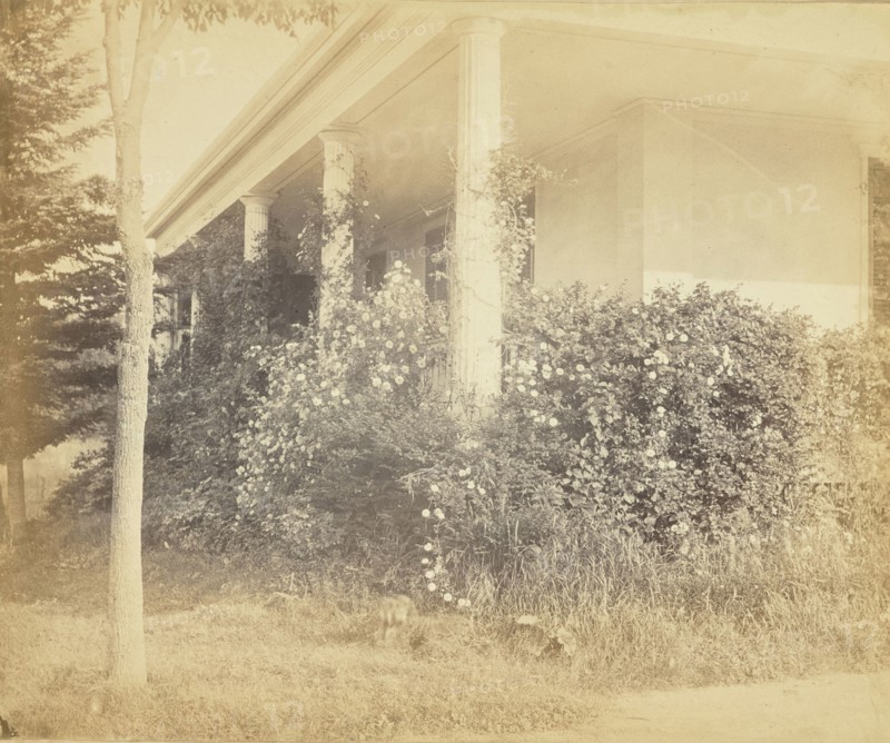 Roses on the Deserted Piazza; Possibly Alfred Booth, English, 1834 - 1914, and Thomas E. Jevons, American, born England, 1841