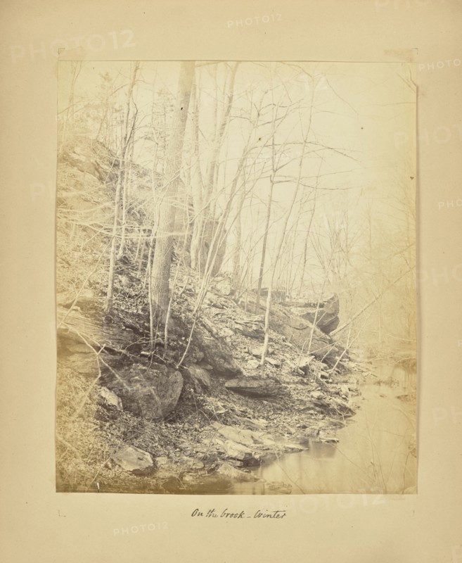 On the Brook - Winter; Possibly Alfred Booth, English, 1834 - 1914, and Thomas E. Jevons American, born England, 1841 - 1919