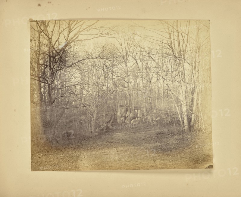 Clearing in a wood; Possibly Alfred Booth, English, 1834 - 1914, and Thomas E. Jevons American, born England, 1841 - 1919