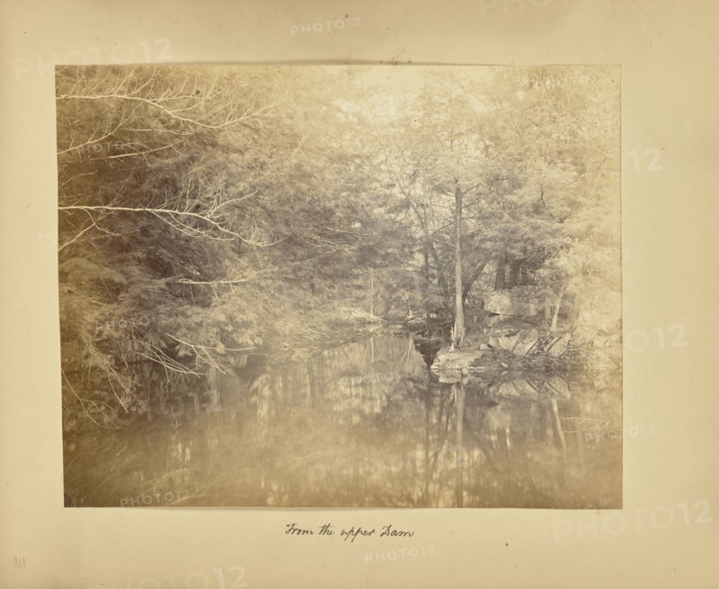From the Upper Dam; Possibly Alfred Booth, English, 1834 - 1914, and Thomas E. Jevons American, born England, 1841 - 1919