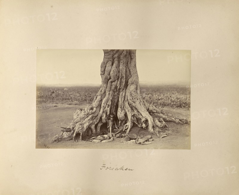 Forsaken; Willoughby Wallace Hooper, English, 1837 - 1912, India; about 1877; Albumen silver print