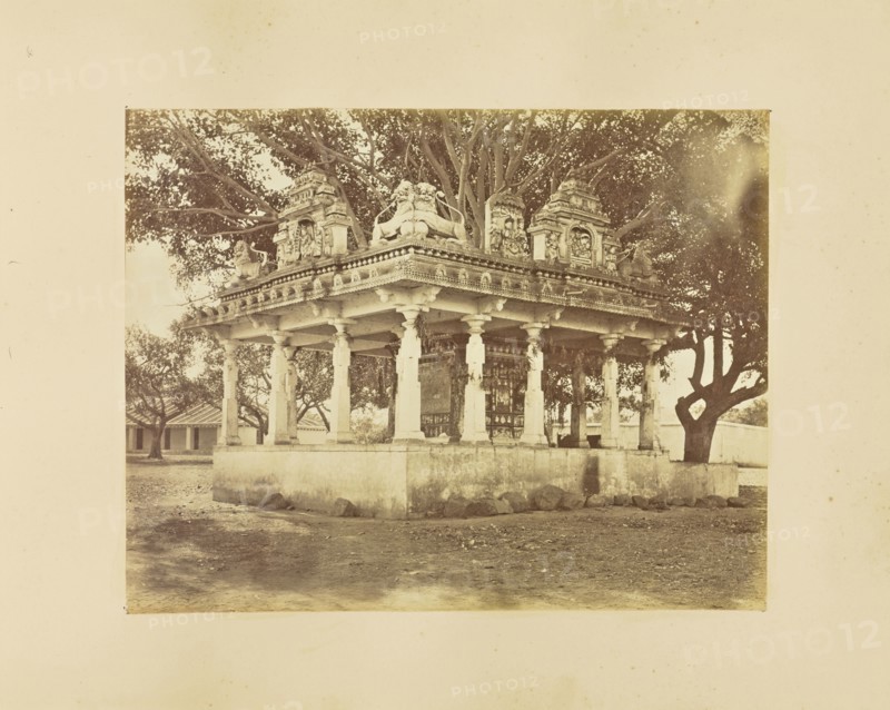 print; Colonel William Willoughby Hooper, British, 1837 - 1912, India; 1873