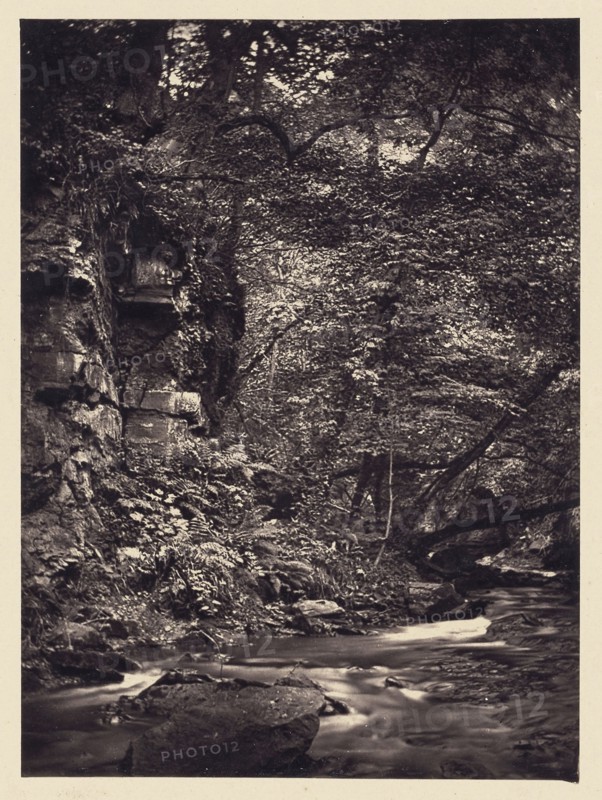 Bend in forest stream; Arthur Brown, British, active 1850s, Saltburn-on-the-Sea, North Yorkshire, England; 1878; Carbon print