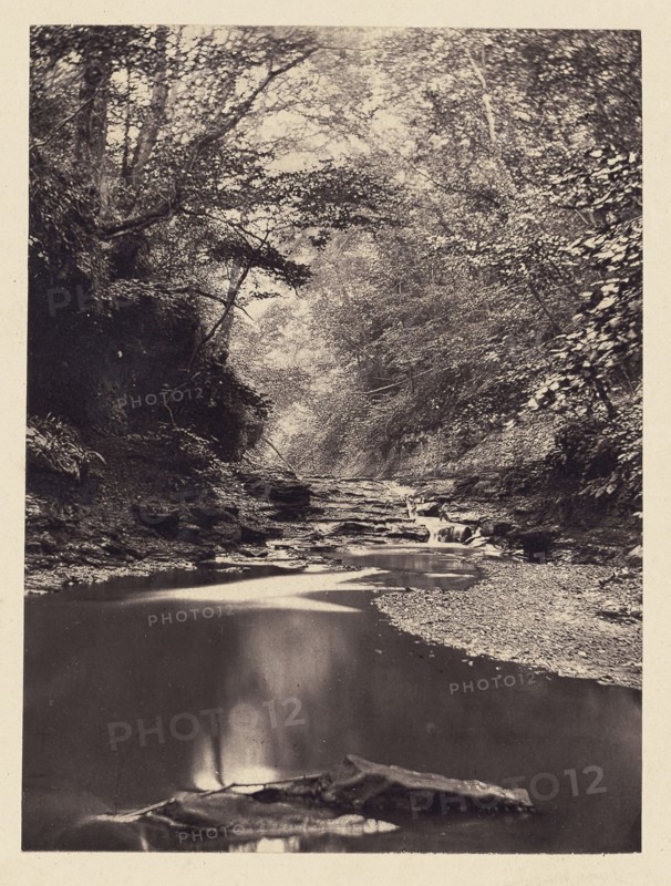 Stream and small waterfall; Arthur Brown, British, active 1850s, Saltburn-on-the-Sea, North Yorkshire, England; 1878; Carbon