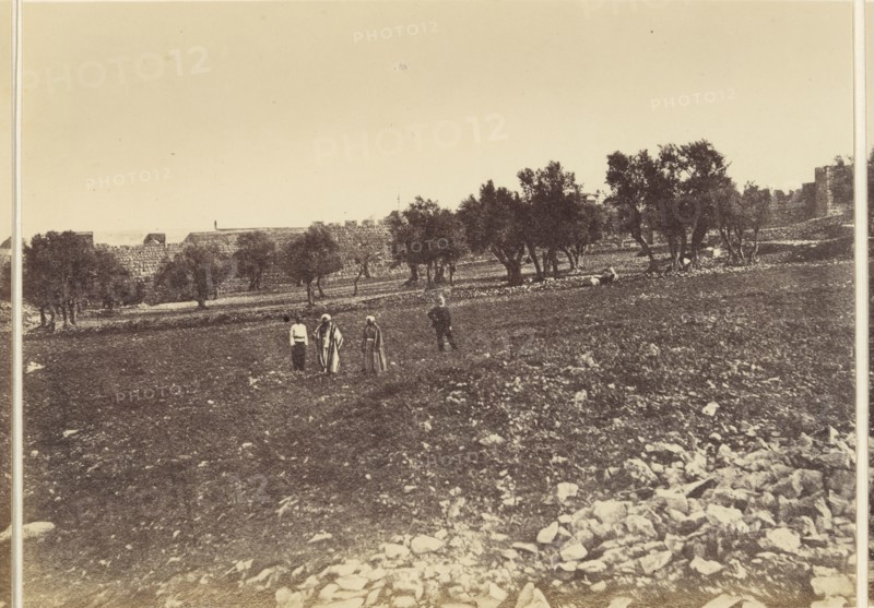 Panoramic View of the City: General View of the City &c. from the North; Sgt. James M. McDonald, English, 1822 - 1885, Israel