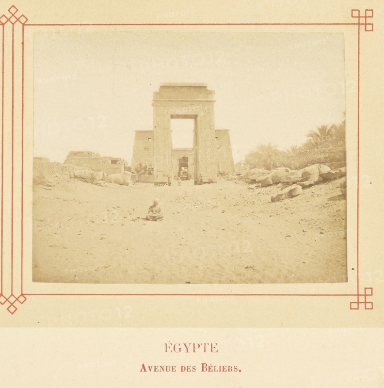 Avenue des Béliers; Félix Bonfils, French, 1831 - 1885, Alais, France; about 1878; Albumen silver print