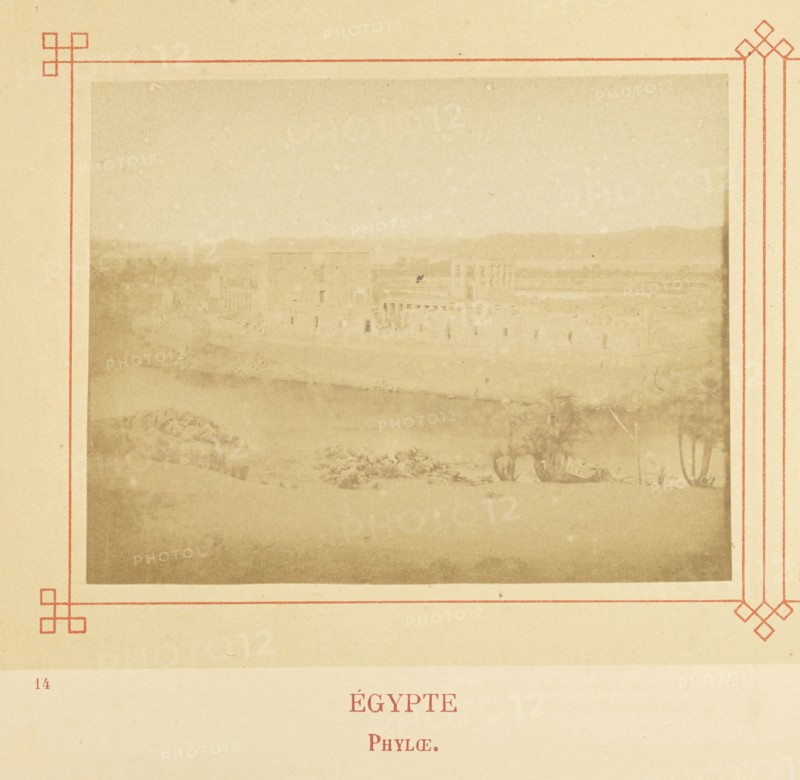 Phyloæ; Félix Bonfils, French, 1831 - 1885, Alais, France; about 1878; Albumen silver print