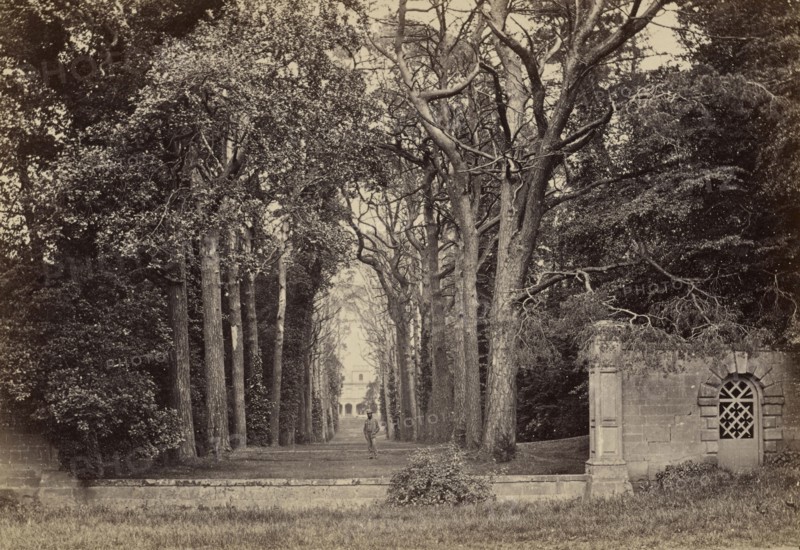 Guy's Cliff, the avenue, from the road; Francis Bedford, English, 1815,1816 - 1894, Chester, England; about 1860 - 1870