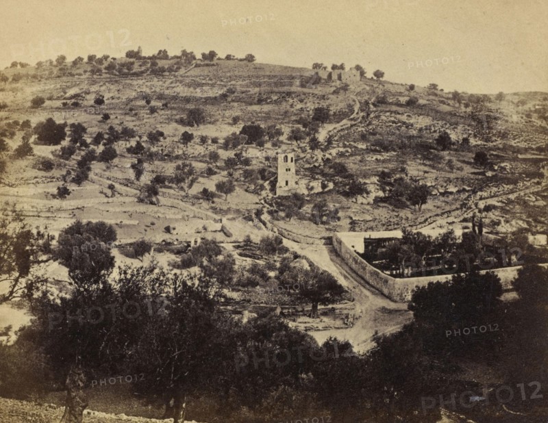 Jerusalem, View of the Mount of Olives, Showing the Garden of Gethsemane; Francis Bedford, English, 1815,1816 - 1894, London