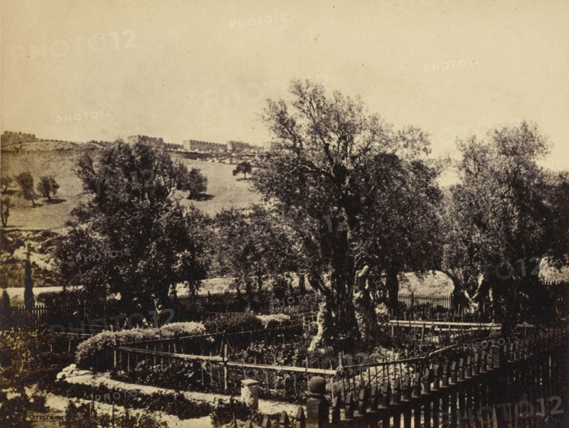 Jerusalem, View in the Garden of Gethsemane, Looking Towards the Walls of Jerusalem; Francis Bedford, English, 1815,1816 - 1894