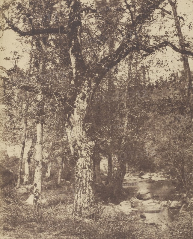 Wooded Landscape with Stream; Attributed to John Stewart, British, 1800 - 1887, Louis Désiré Blanquart-Evrard, French, 1802