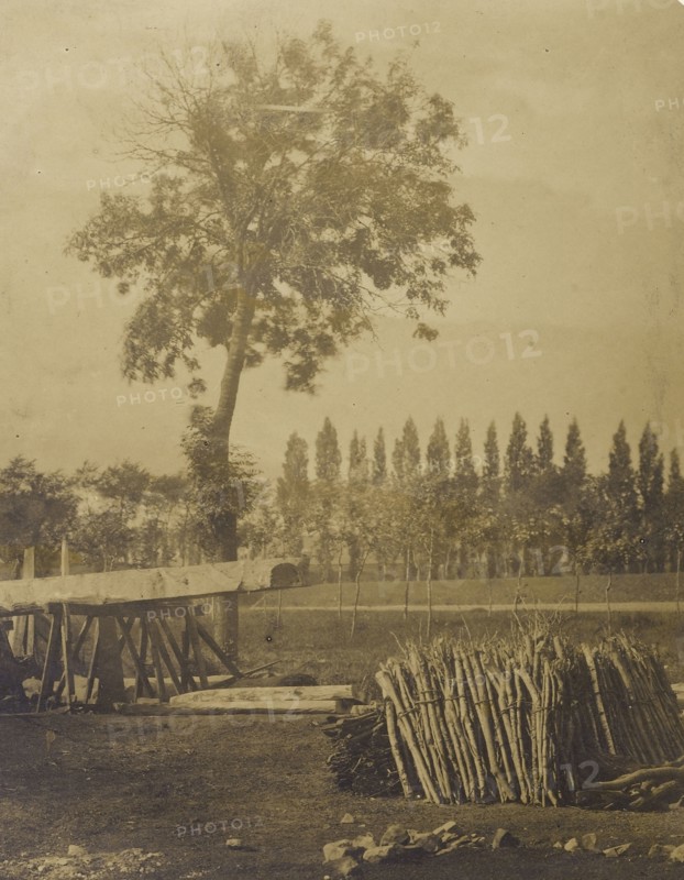 Landscape with Bales of Cut Tree Limbs; Attributed to Henri-Victor Regnault, French, 1810 - 1878, Louis Désiré Blanquart-Evrard