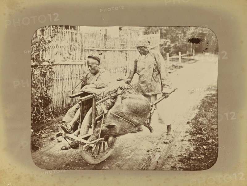 A Shangai Omnibus; Attributed to William Saunders, English, 1832 - 1892, China; 1870 - 1880; Albumen silver print