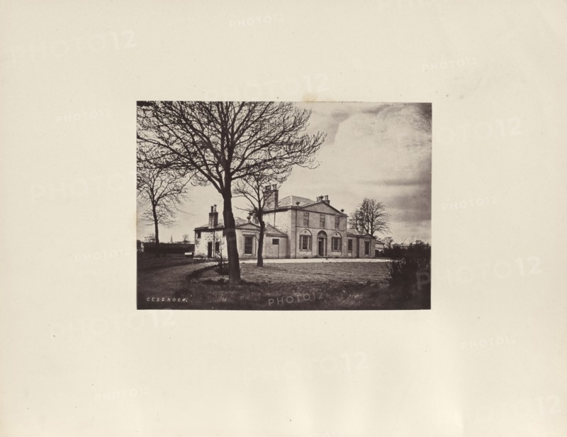 Cessnock; Thomas Annan, Scottish,1829 - 1887, Glasgow, Scotland; 1878; Albumen silver print