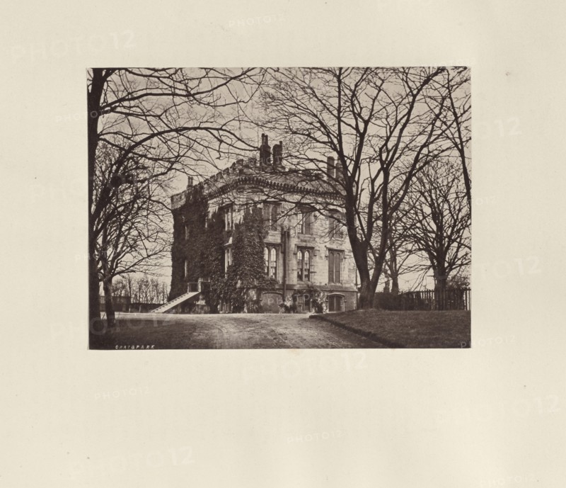 Craigpark; Thomas Annan, Scottish,1829 - 1887, Glasgow, Scotland; 1878; Albumen silver print