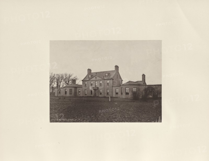Plantation; Thomas Annan, Scottish,1829 - 1887, Glasgow, Scotland; 1878; Albumen silver print