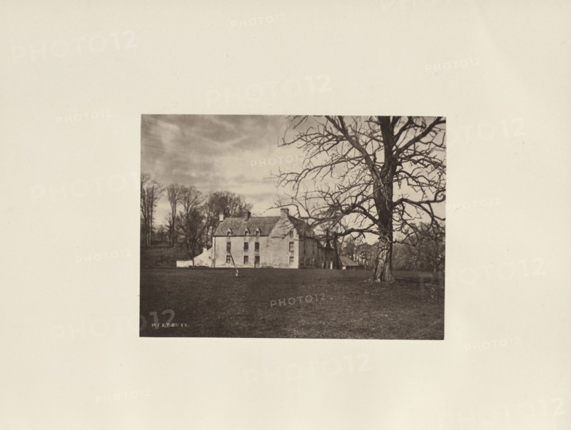 Westburn; Thomas Annan, Scottish,1829 - 1887, Glasgow, Scotland; 1878; Albumen silver print