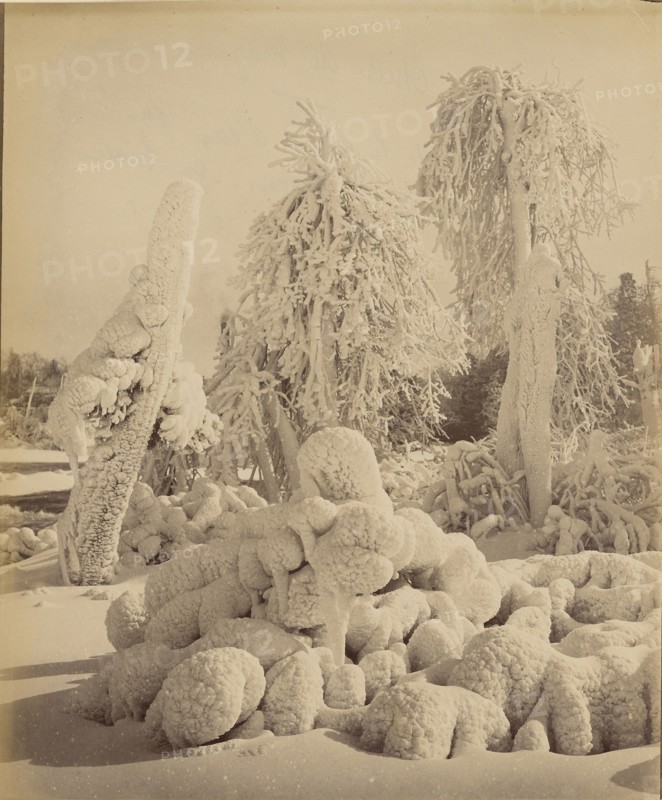 Chûte du Niagara; 1860s - 1880s; Albumen silver print