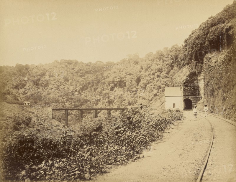 Vistas Mexicanas. Metlac Ravine; Abel Briquet, French, 1833 - ?, Veracruz, Mexico; 1860s - 1880s; Albumen silver print