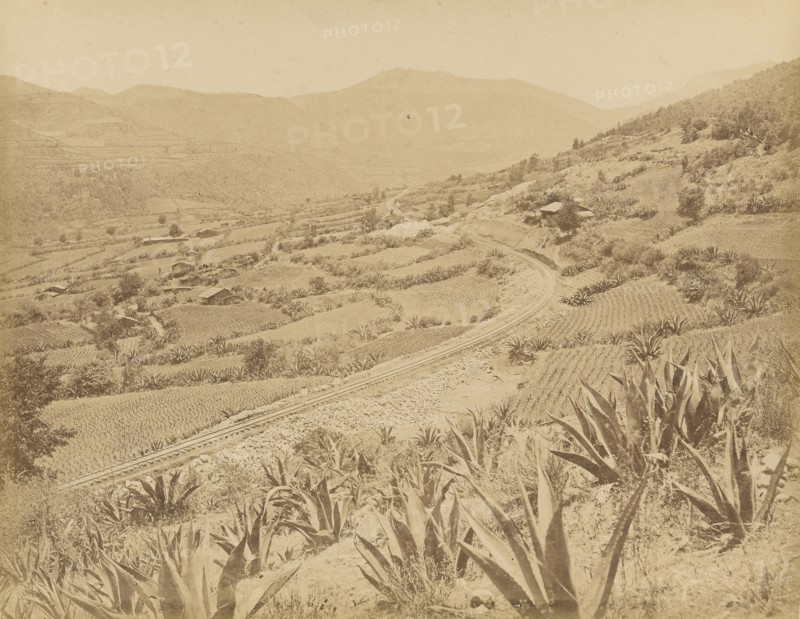 Mexico. Panoramic View of the Valley of El Laurel; Abel Briquet, French, 1833 - ?, Mexico; 1860s - 1880s; Albumen silver print