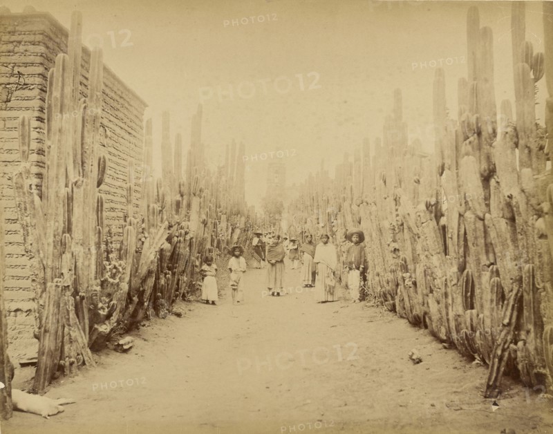 Mexico. Street of Village San Juan, State of Mexico; Abel Briquet, French, 1833 - ?, San Juan, Mexico; 1860s - 1880s; Albumen