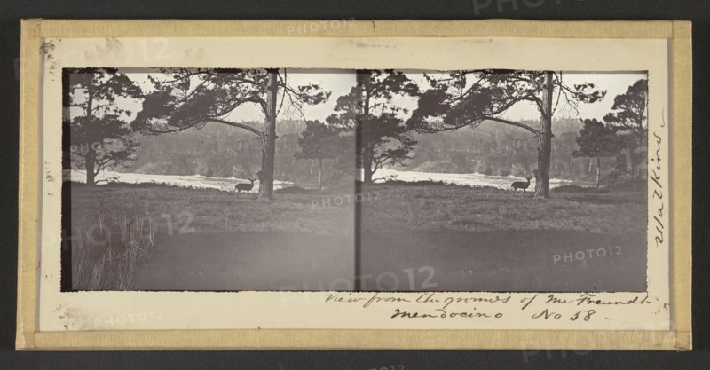 View from the Grounds of Mr. Freundt, Mendocino; Carleton Watkins, American, 1829 - 1916, Mendocino, California, United States