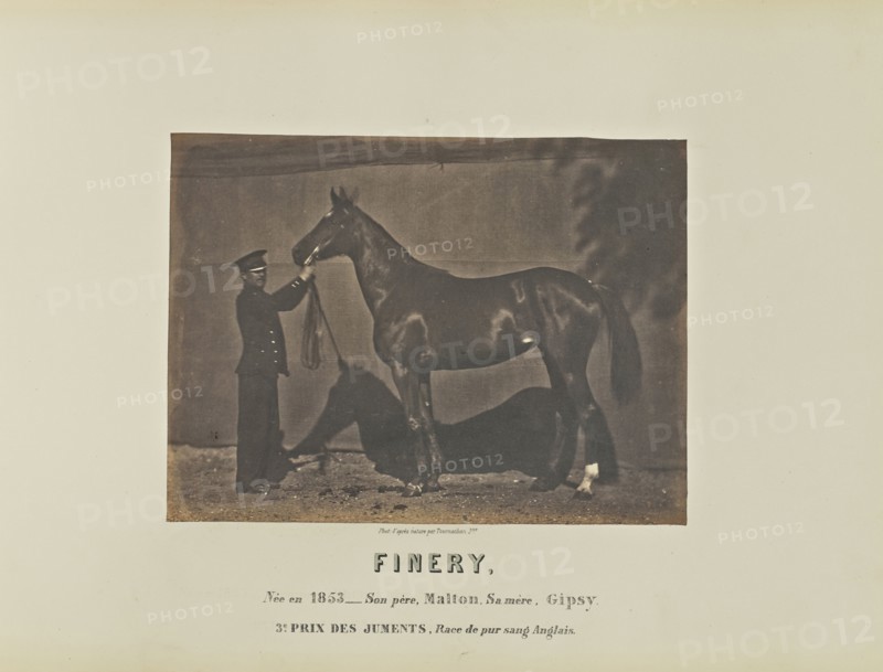 Finery; Adrien Alban Tournachon, French, 1825 - 1903, France; 1860; Salted paper print; 16.6 × 22.2 cm, 6 9,16 × 8 3,4 in