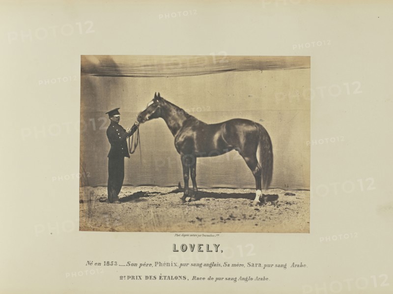 Lovely; Adrien Alban Tournachon, French, 1825 - 1903, France; 1860; Salted paper print; 17 × 22.3 cm, 6 11,16 × 8 3,4 in