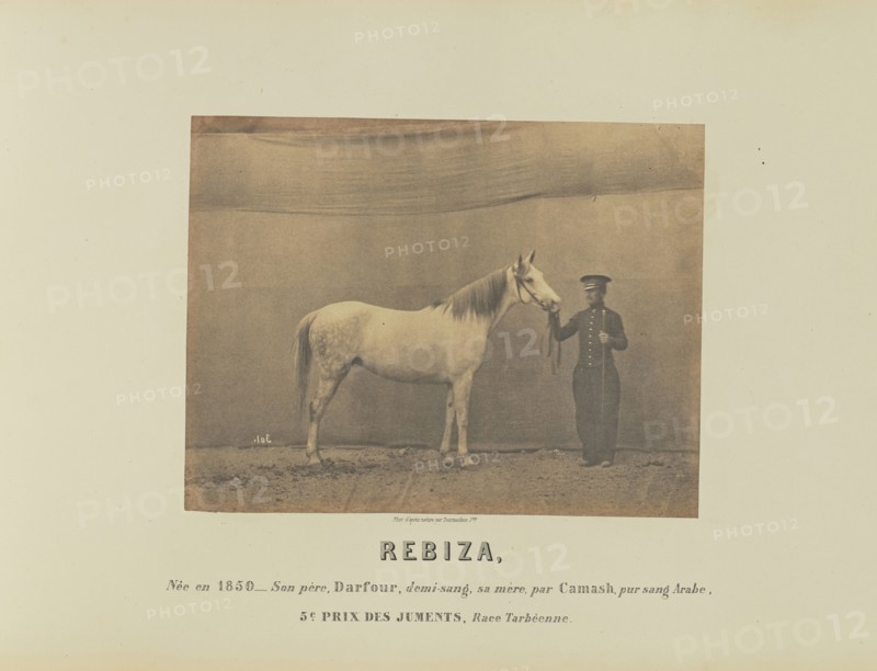 Rebiza; Adrien Alban Tournachon, French, 1825 - 1903, France; 1860; Salted paper print; 16.7 × 21.8 cm, 6 9,16 × 8 9,16 in