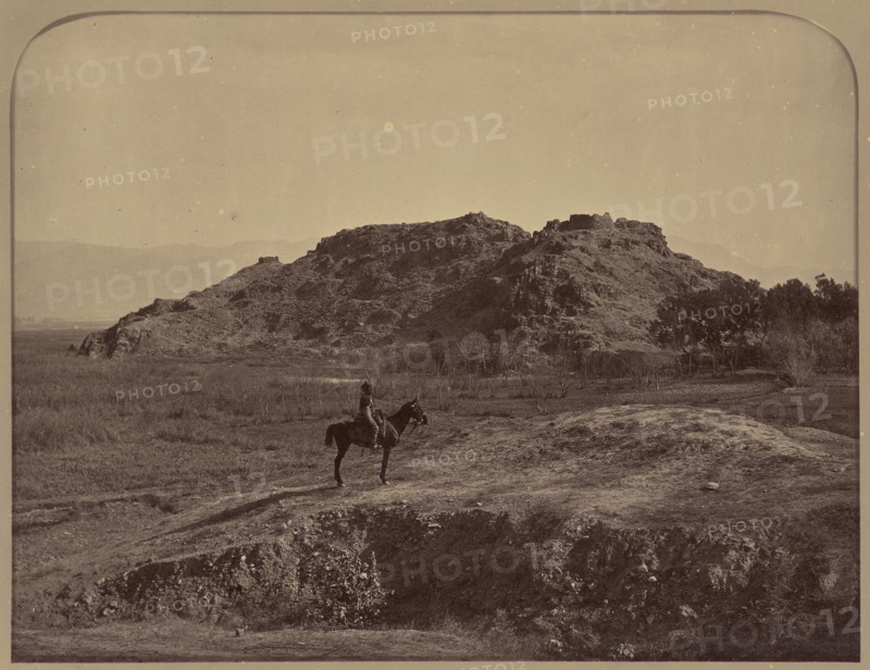 Lone rider in desert; John Burke, British, active 1860s - 1870s, Afghanistan; 1878 - 1879; Albumen silver print