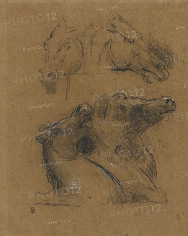 Studies of Horses, after the Elgin marbles, Jean-Baptiste Carpeaux, French, 1827 - 1875, 1871; Black and white chalk