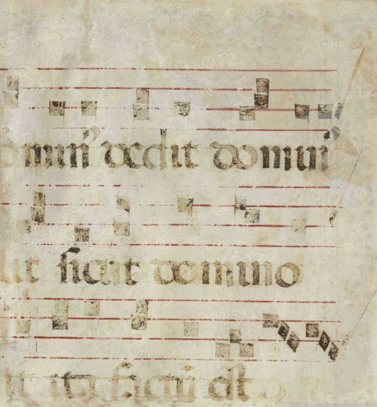 Reverse of Initial S; Francesco di Antonio del Chierico, Italian, 1433 - 1484, Florence, Italy; third quarter of 15th century