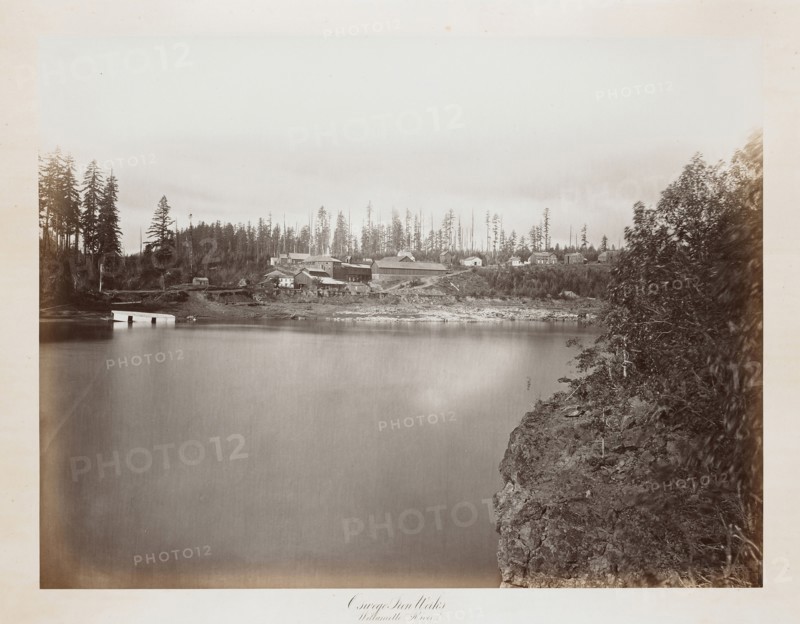 Oswego Iron Works, Willamette River; Carleton Watkins, American, 1829 - 1916, Oregon, United States; 1867; Albumen silver print