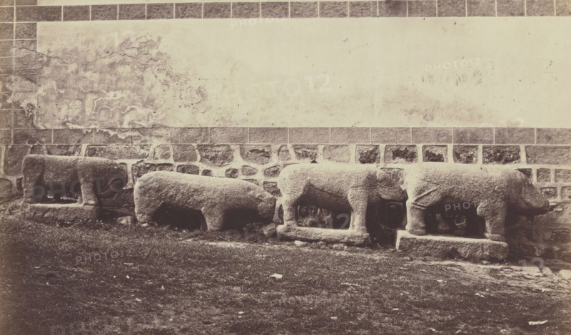 Sanghiers in Granite in Palais du Duc d' Abrantes; Juan Laurent, French, 1816 - 1892, n.d; Albumen silver print