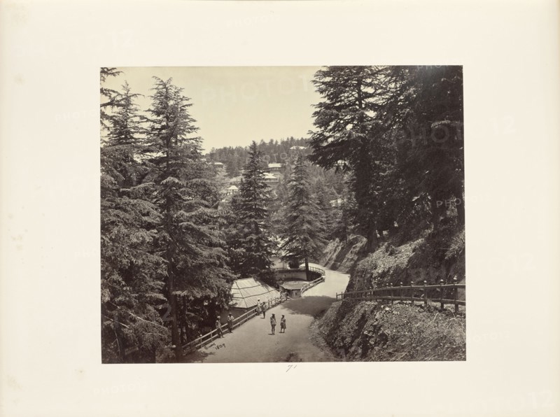 Simla; The Mall from Talbot House; Samuel Bourne, English, 1834 - 1912, Simla, India; 1868; Albumen silver print