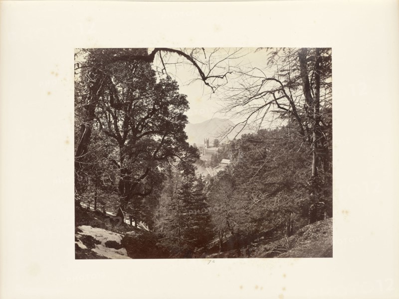 Simla; Pic-nic sic amongst the Trees at Annandale; Samuel Bourne, English, 1834 - 1912, Simla, India; 1868; Albumen silver