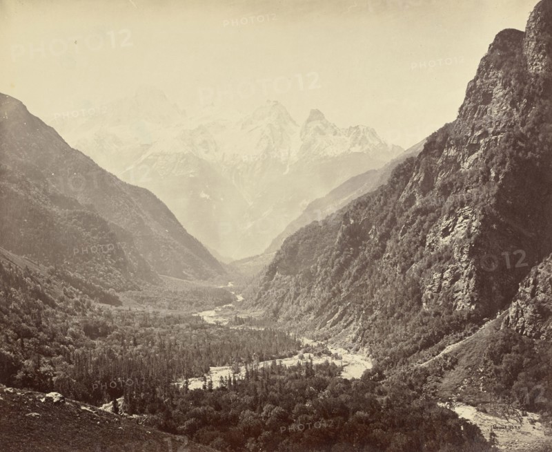 Wooded Valley from Fulaldaru, with the Srikanta Peaks in the Distance; Samuel Bourne, English, 1834 - 1912, Uttarakhand, India