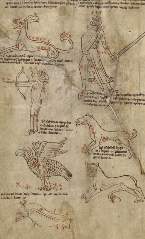 Constellation Diagrams; England; early 13th century; Pen and black, green, and red inks on parchment bound between pasteboard