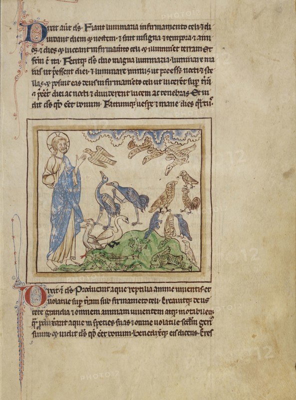 The Creation of the Birds and Fishes; England; about 1250 - 1260; Pen-and-ink drawings tinted with body color and translucent