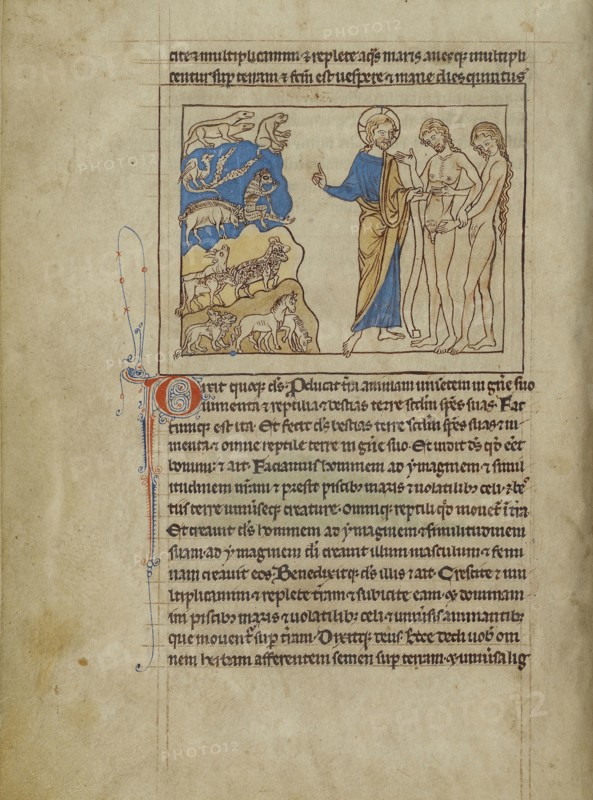 The Creation of the Animals and of Adam and Eve; England; about 1250 - 1260; Pen-and-ink drawings tinted with body color