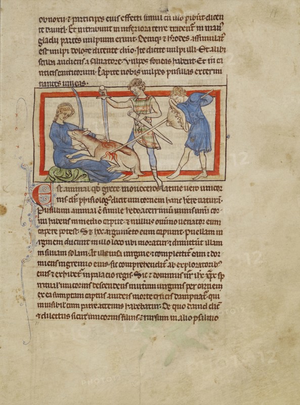 A Unicorn; England; about 1250 - 1260; Pen-and-ink drawings tinted with body color and translucent washes on parchment; Leaf