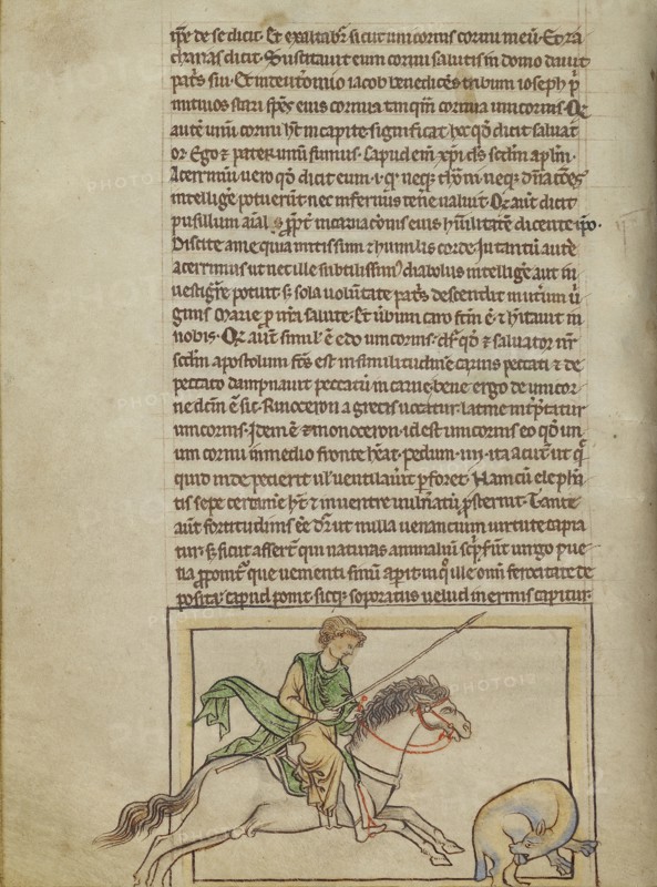 A Beaver; England; about 1250 - 1260; Pen-and-ink drawings tinted with body color and translucent washes on parchment; Leaf