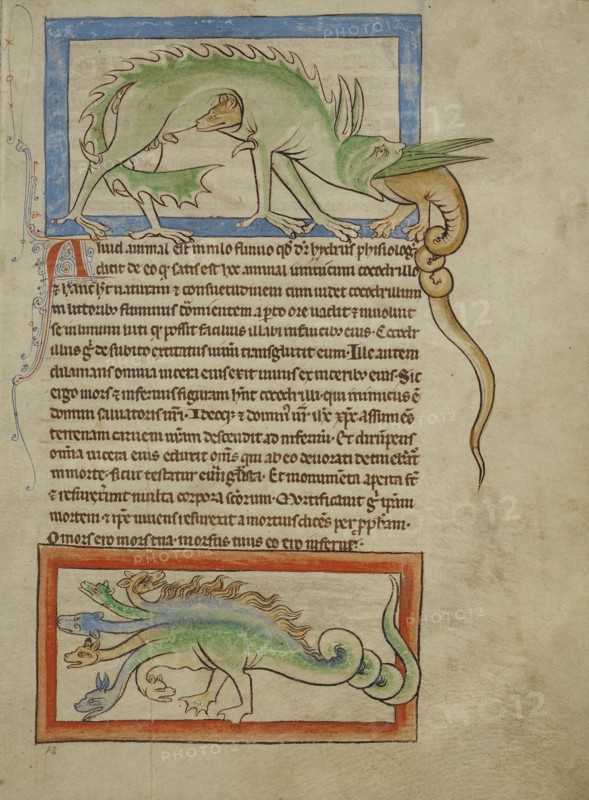 A Hydrus; A Hydra; England; about 1250–1260; Pen-and-ink drawings tinted with body color and translucent washes on parchment