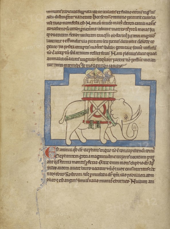 An Elephant; England; about 1250 - 1260; Pen-and-ink drawings tinted with body color and translucent washes on parchment