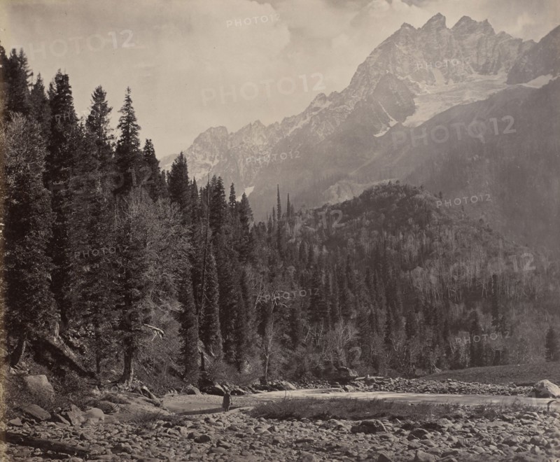 Scinde Valley, Kashmir; Samuel Bourne, English, 1834 - 1912, Kashmir, India; 1864; Albumen silver print