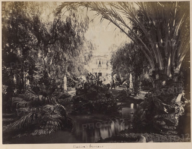 Khedive's Gardens; Egypt; about 1881; Albumen silver print