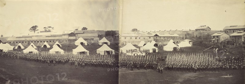 Group Portrait of the Royal Marine Battalion; Felice Beato, 1832 - 1909, Japan; October 1864; Albumen