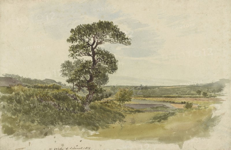 A Landscape in Snowdonia with a Tree in the Foreground; John Linnell, British, 1792 - 1882, England; 1813; Pencil